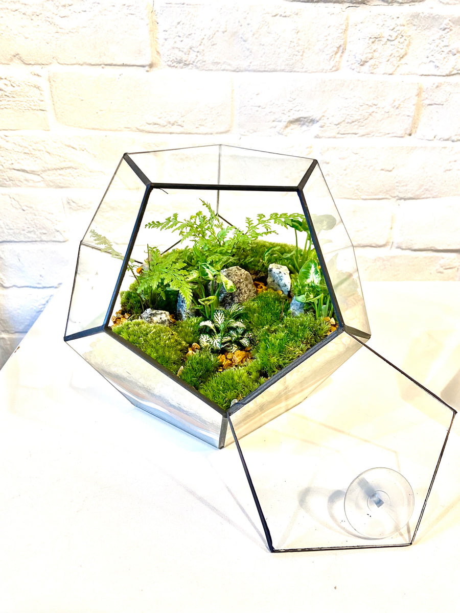 Small Pentagon Closed Moss Terrarium