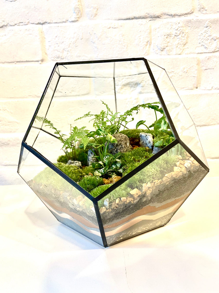 Small Pentagon Closed Moss Terrarium