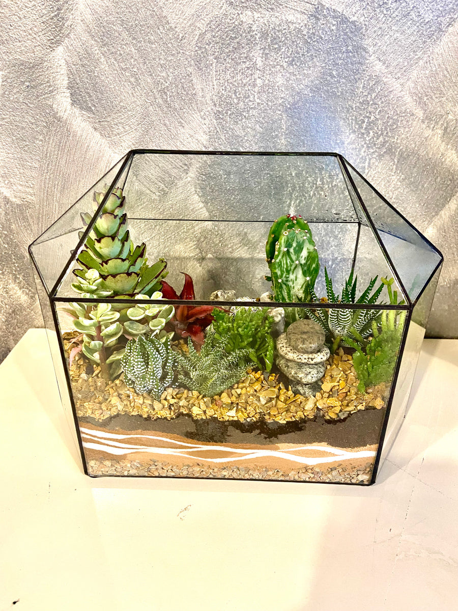 New Greenhouse Open terrarium