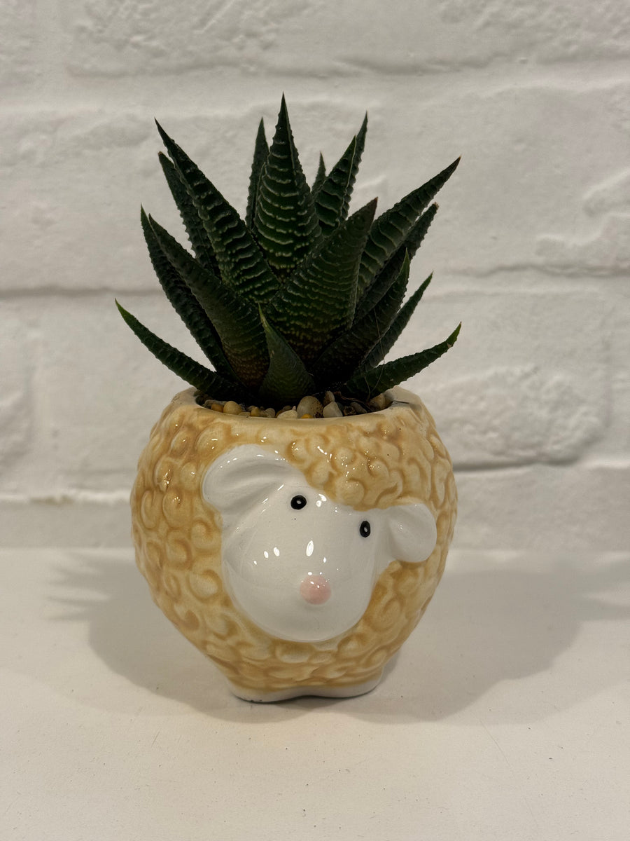 Mini animal terrarium