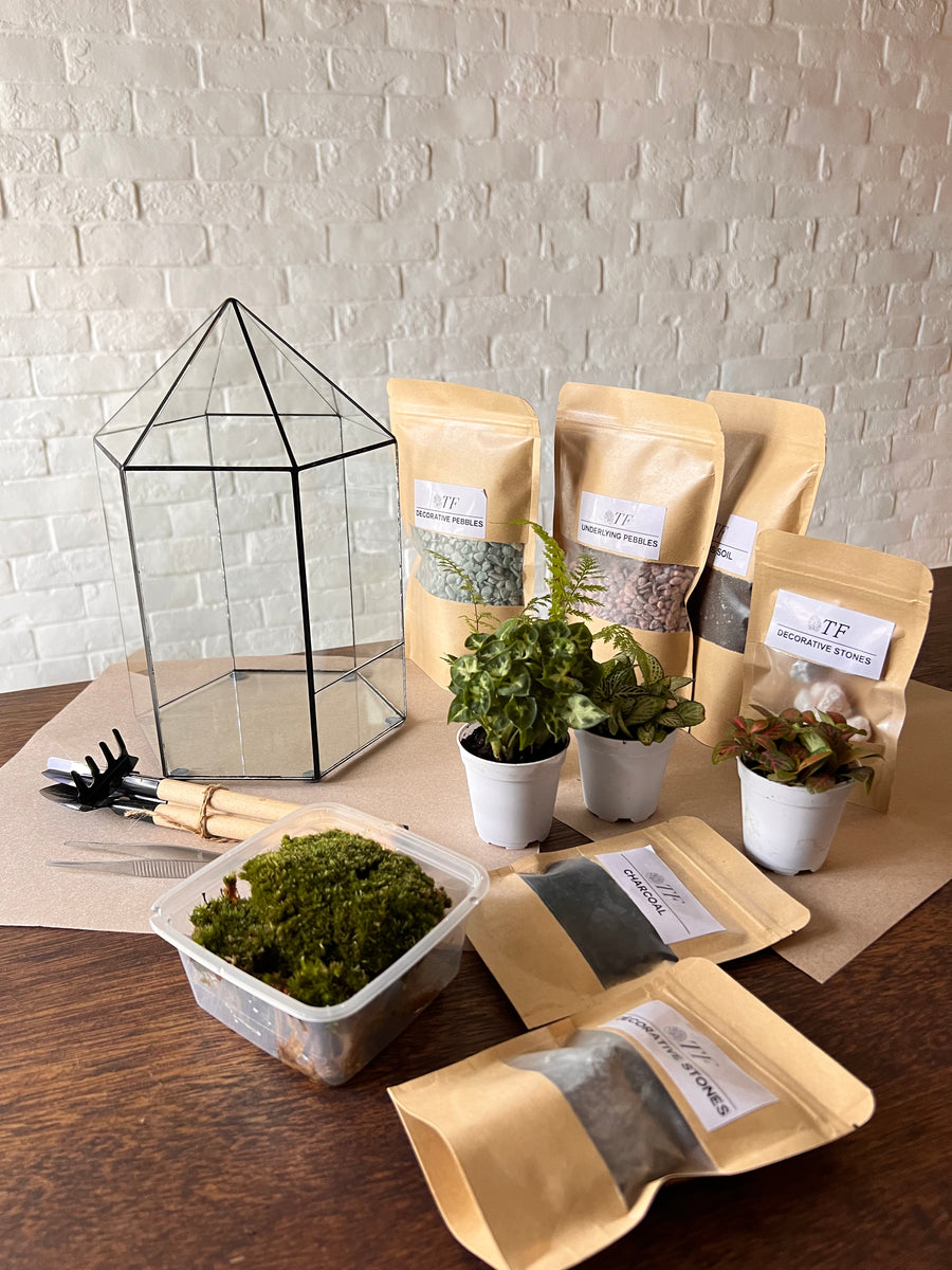 Penthouse moss terrarium DIY kit