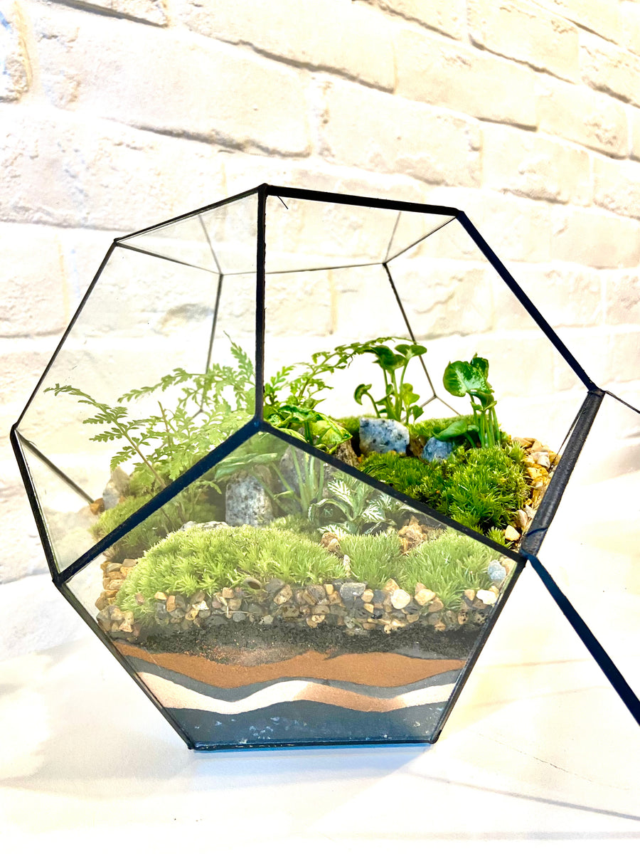 Small Pentagon Closed Moss Terrarium