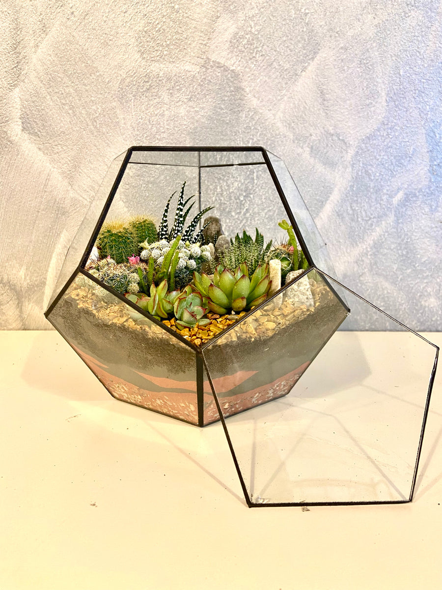 Pentagon Classic Open terrarium