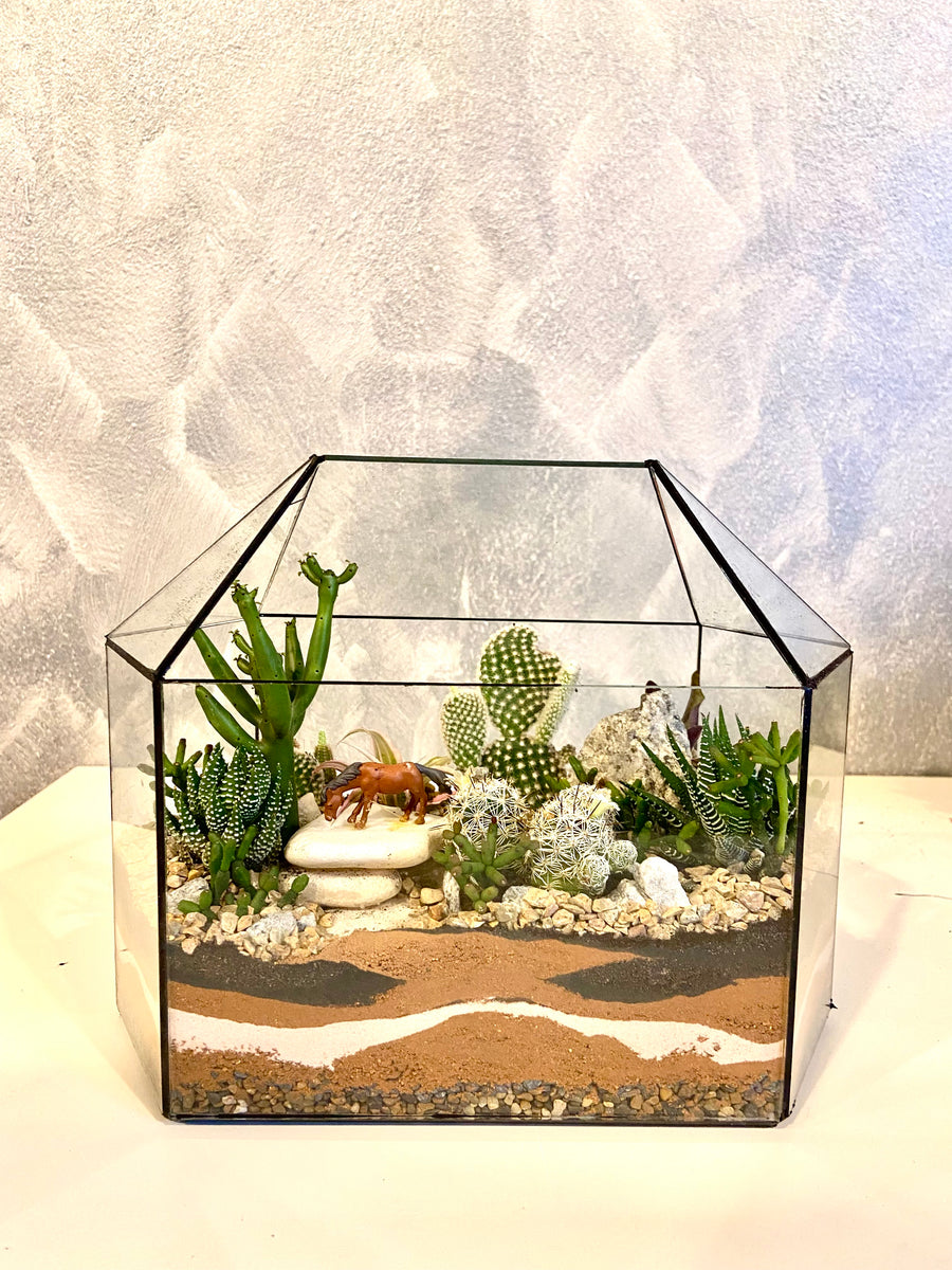 New Greenhouse Open terrarium