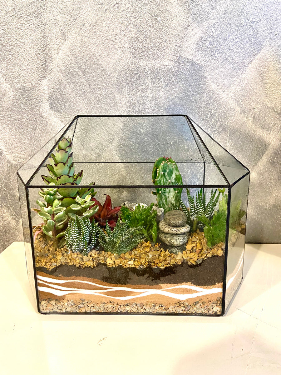 New Greenhouse Open terrarium