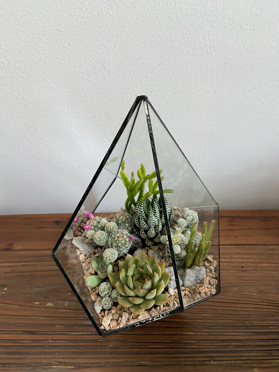 Pyramidal terrarium