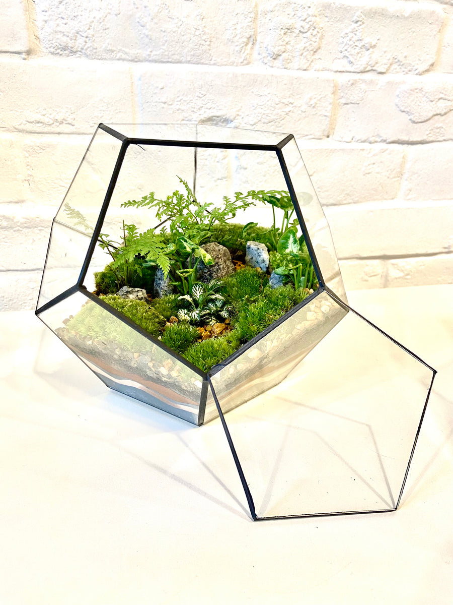 Small Pentagon Closed Moss Terrarium