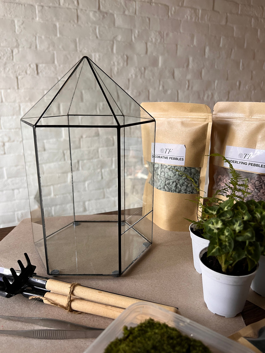 Penthouse moss terrarium DIY kit