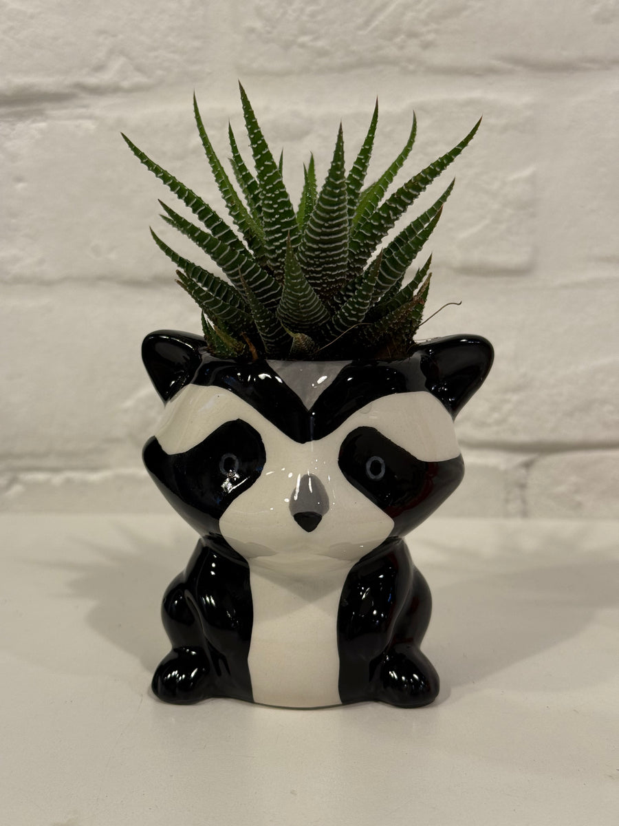 Mini animal terrarium