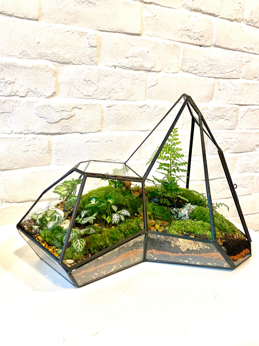 Irregular shaped Closed moss terrarium