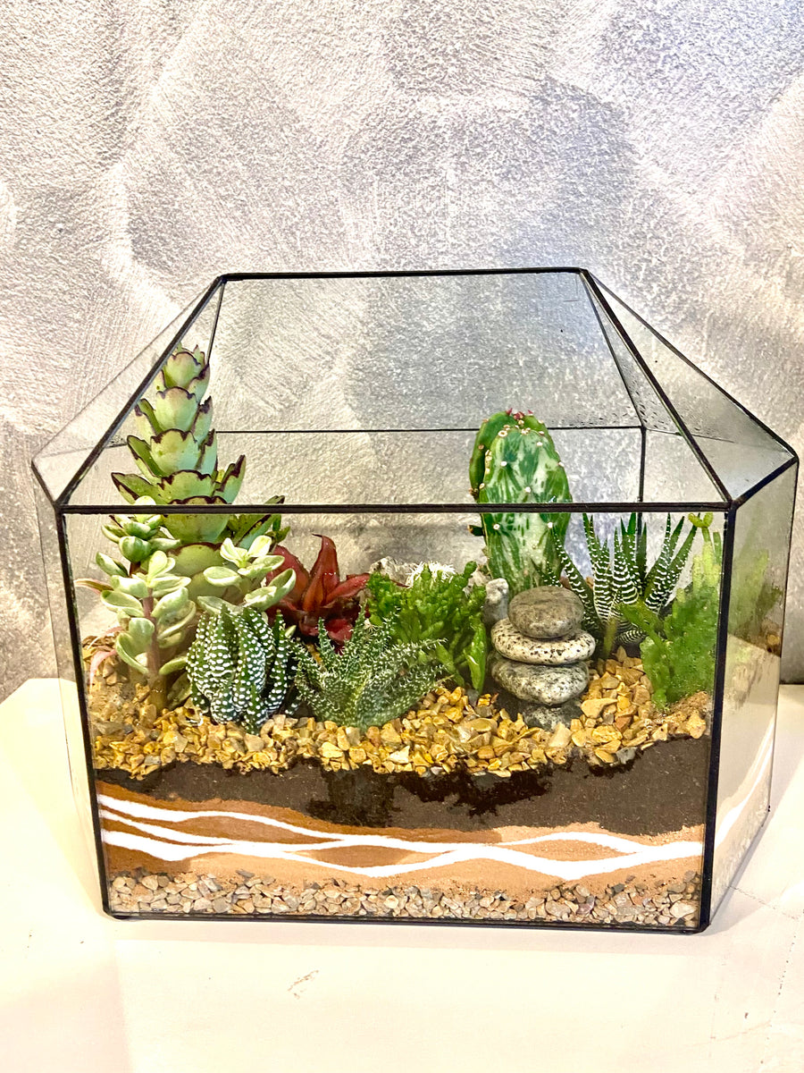 New Greenhouse Open terrarium