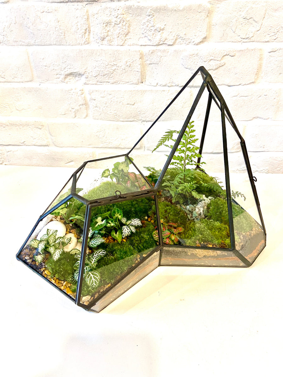 Irregular shaped Closed moss terrarium