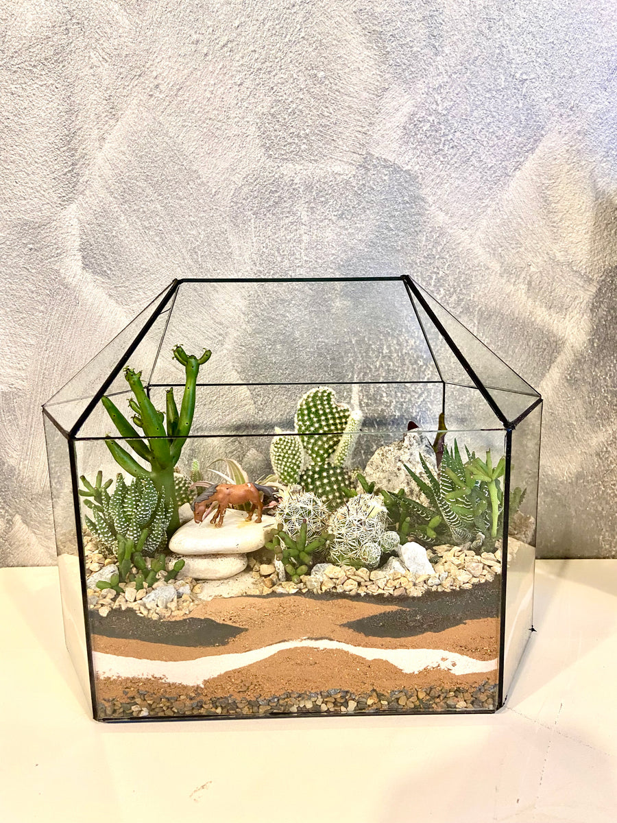 New Greenhouse Open terrarium