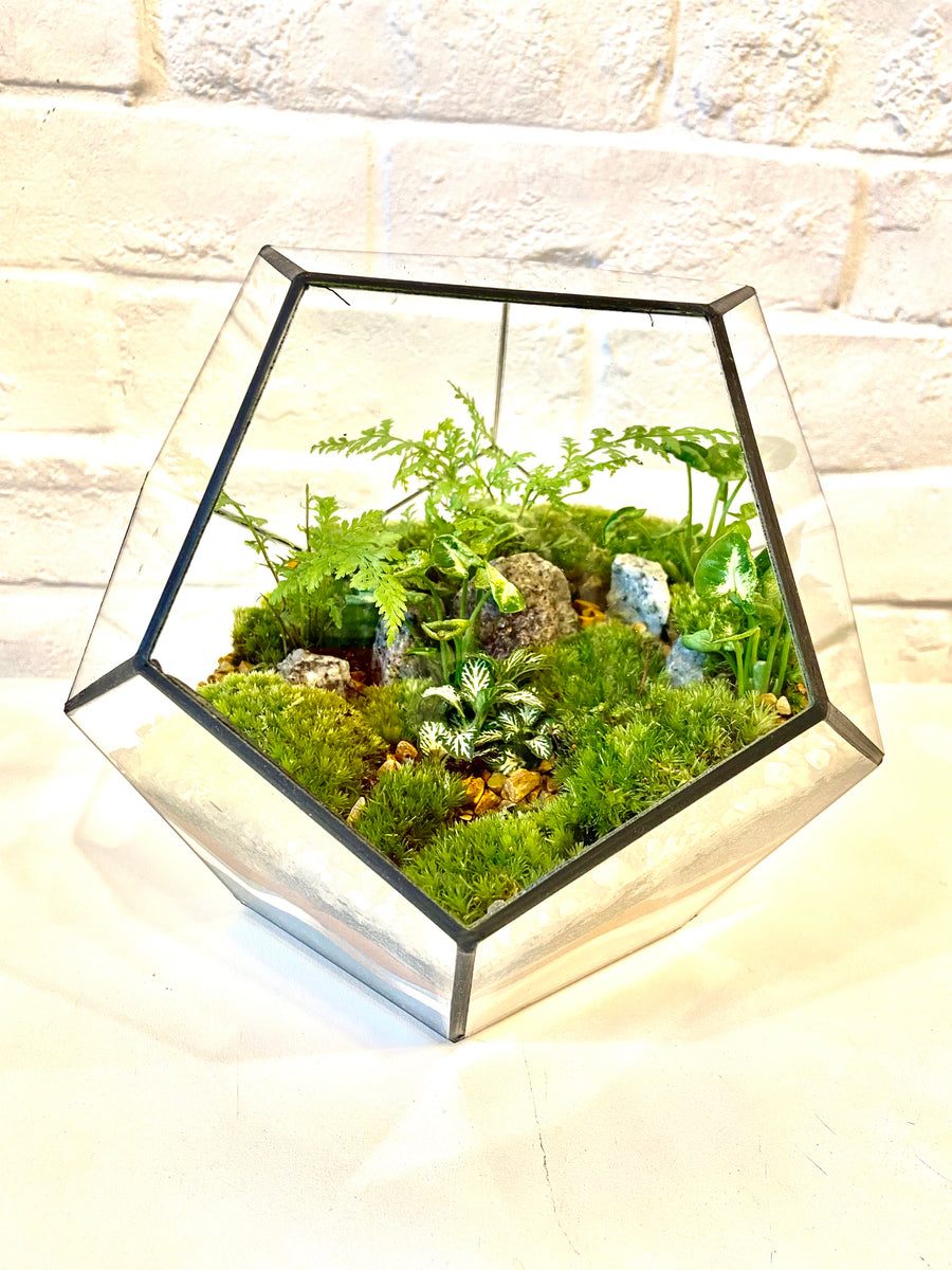 Small Pentagon Closed Moss Terrarium