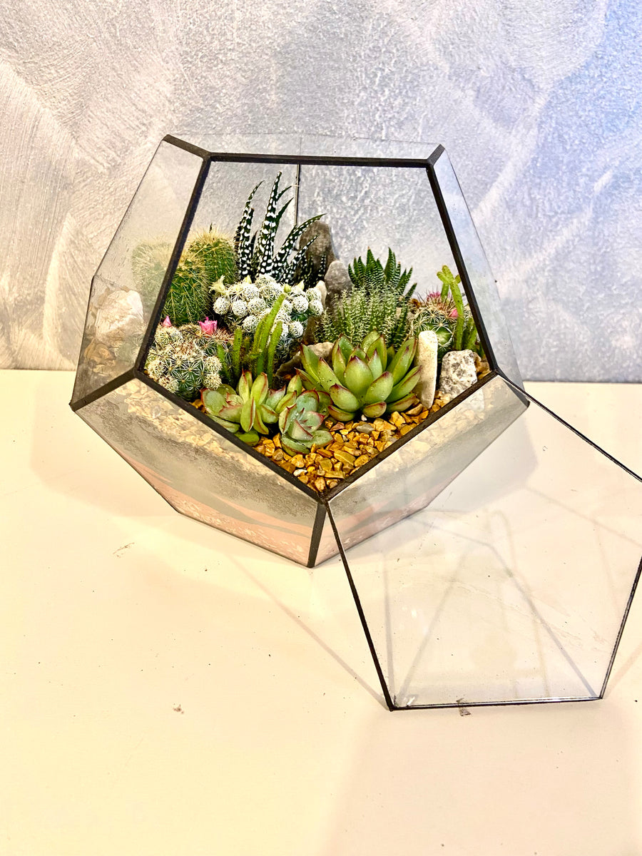 Pentagon Classic Open terrarium