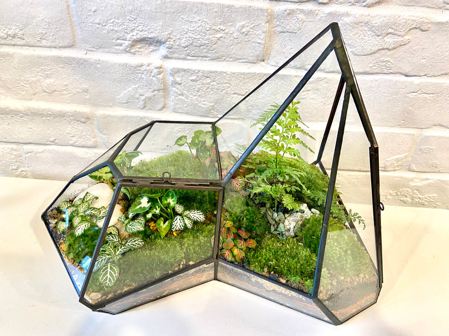 Irregular shaped Closed moss terrarium