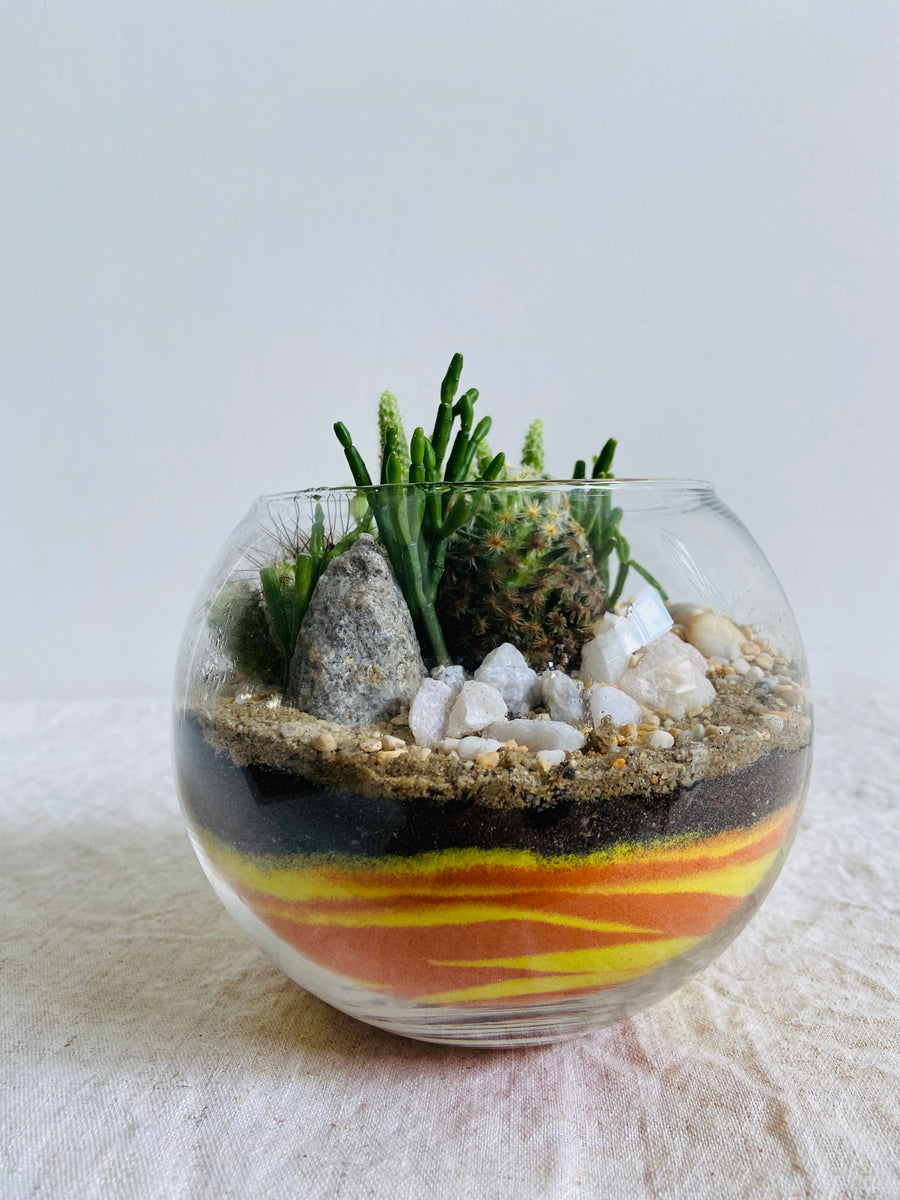Sand art bowl cactus valley terrarium
