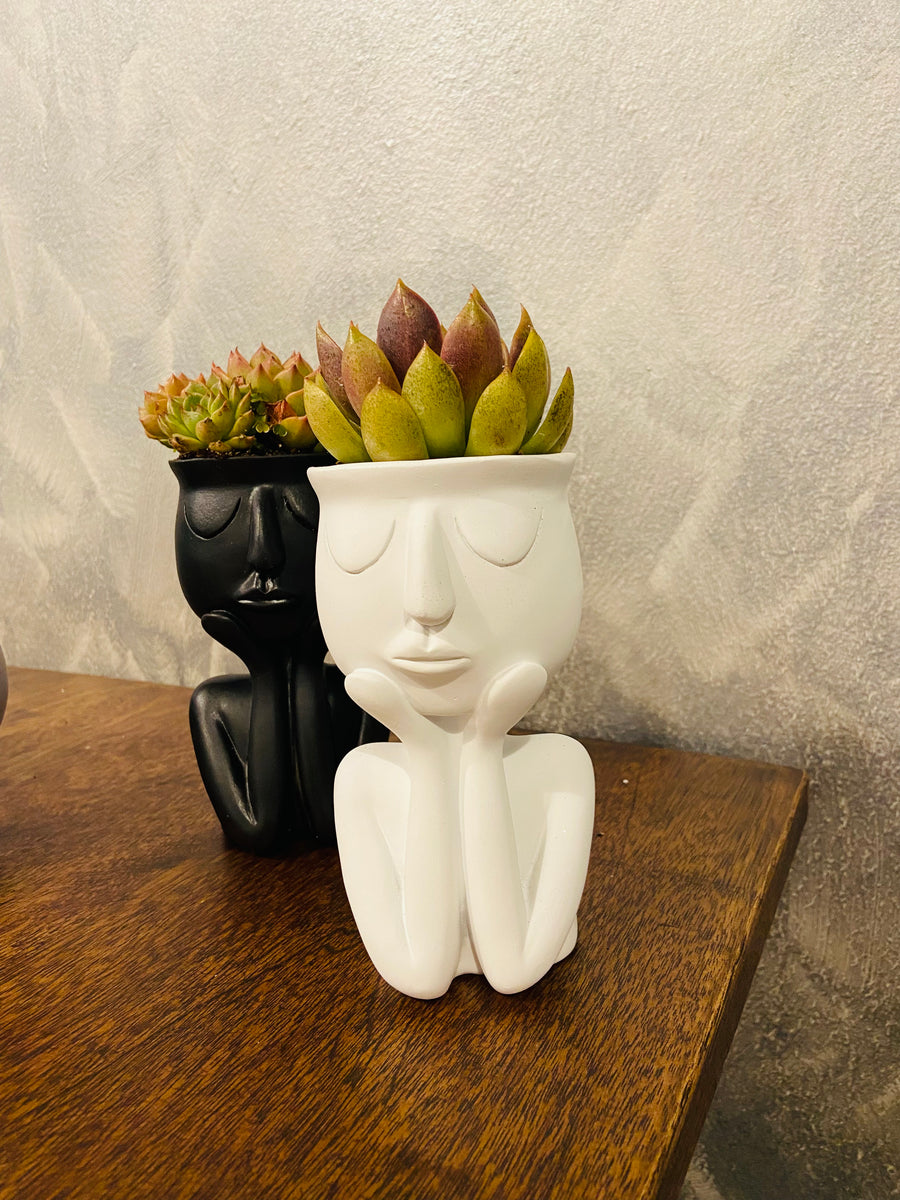 Black/white sleepy-head pots terrarium