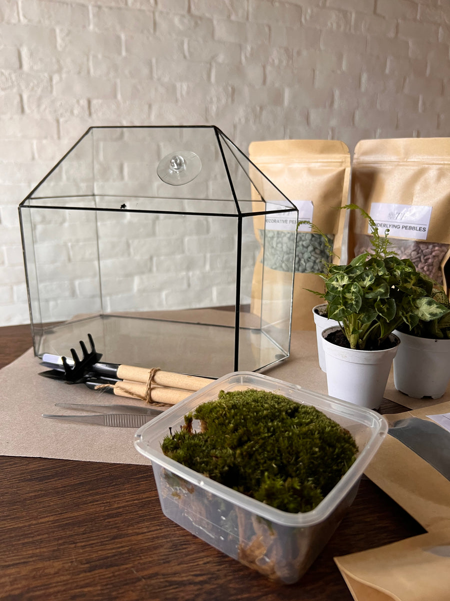 Greenhouse Moss Terrarium DIY kit