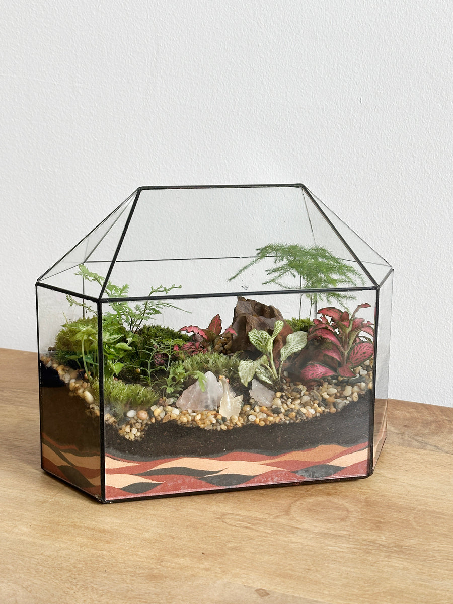 Mini Greenhouse Closed Terrarium