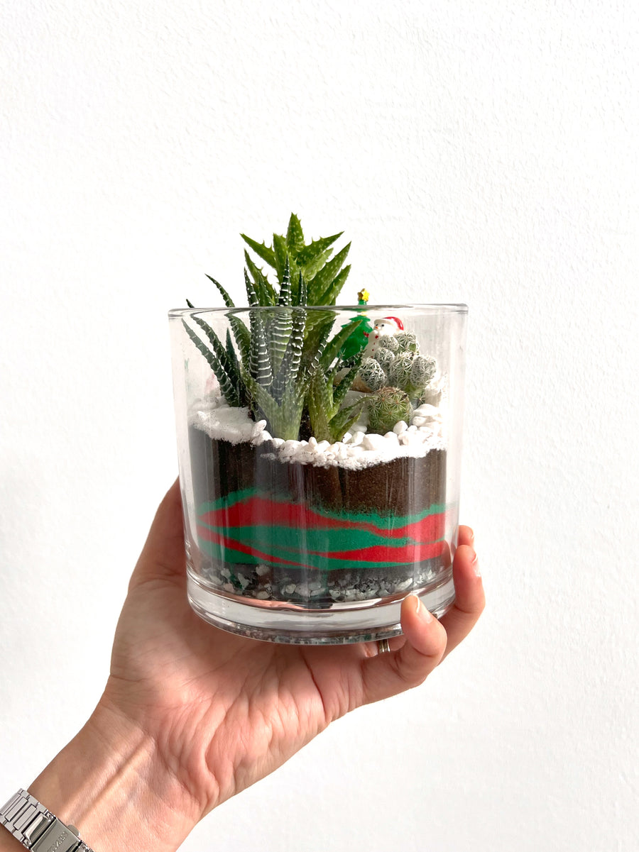 Winterland Terrarium