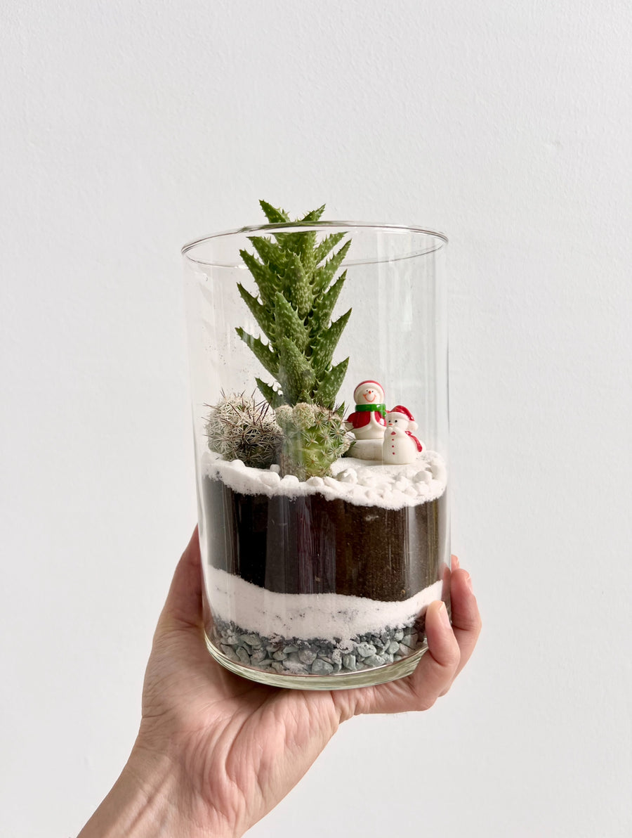 Snowman Terrarium