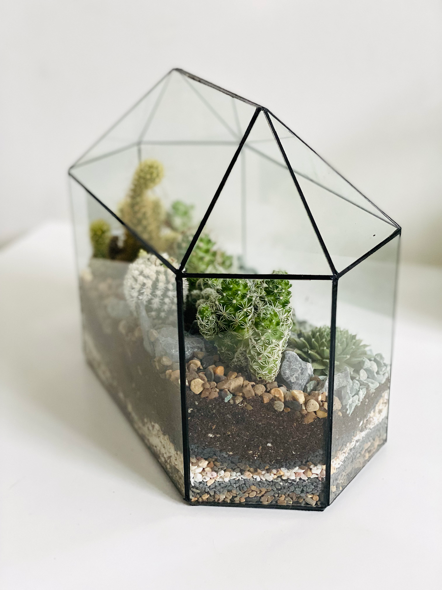 Greenhouse Cactus Terrarium