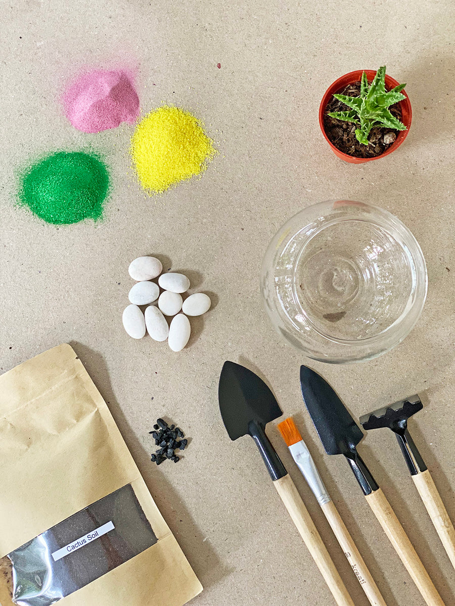 New DIY Sand Art Terrarium Kit for KIDS