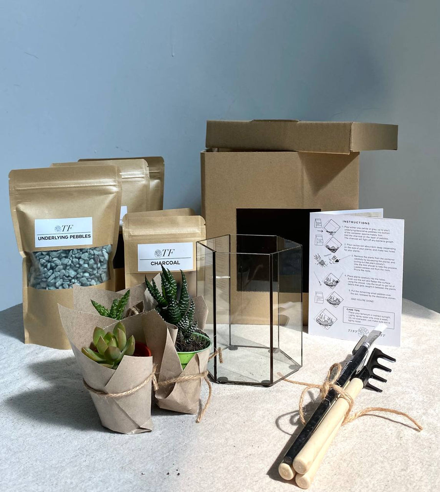 Tiny Forest DIY Hexarium  Kit
